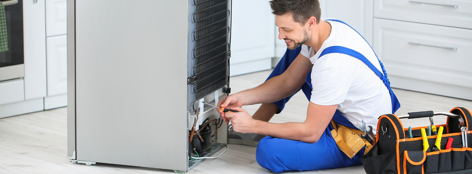 تعمیر یخچال هیتاچی در پردیس